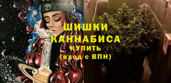 сатива Балахна