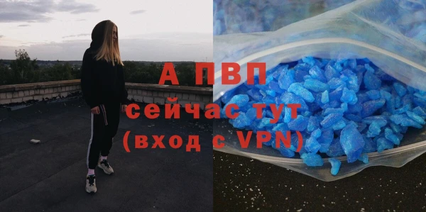 сатива Балахна