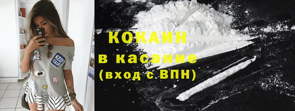 прущая мука Арсеньев