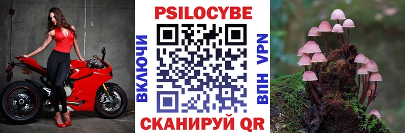 Псилоцибиновые грибы Psilocybe  кракен рабочий сайт  Озёры 